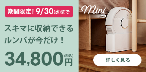 �����ޤ˼�Ǽ�Ǥ�����Ф���������34,800��